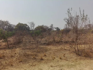 Farm & Agricultural Land