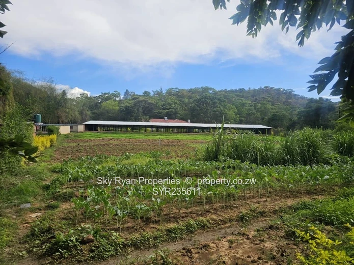 Umwinsidale Property For Sale