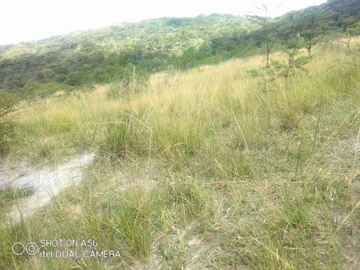 Farm & Agricultural Land