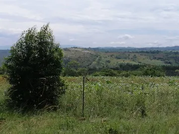 Farm & Agricultural Land