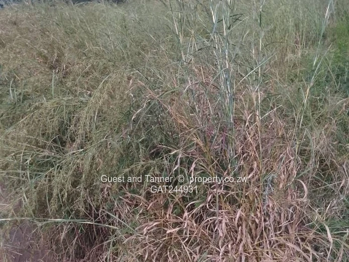 Residential Stand For Sale In Greenhill Bindura