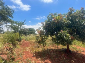 Whitecliff (Whitehouse Area)