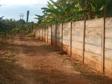 Stands & Residential Land