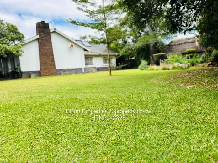 Furnished Home in Alex Park | Opposite Hellenic School