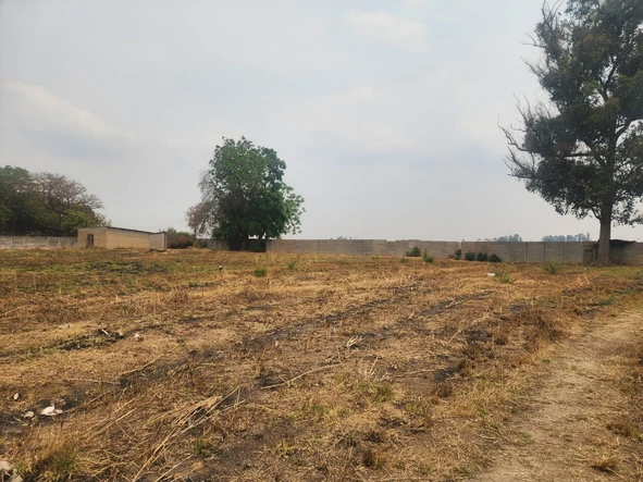 Stands & Residential Land