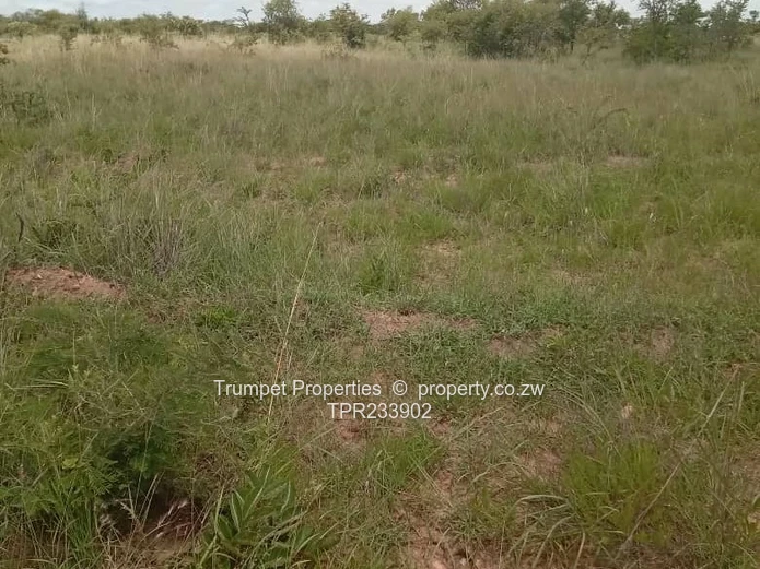 plot for sale in Harare (Sole Mandate)