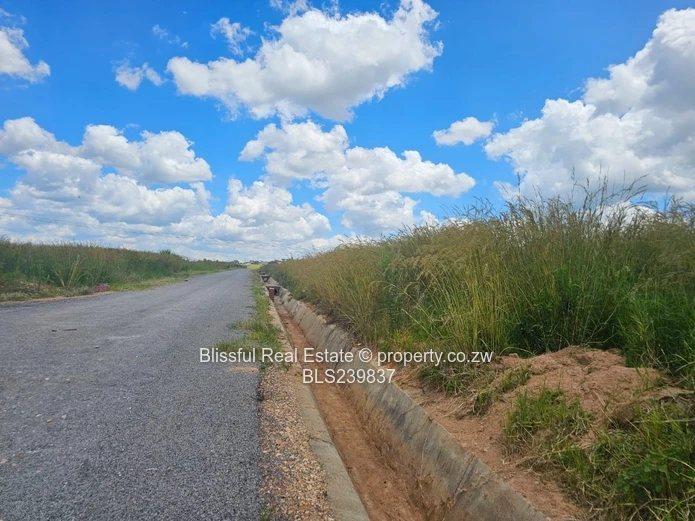 Stands for sale in sunway city Ruwa