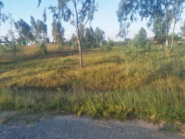 Stands & Residential Land