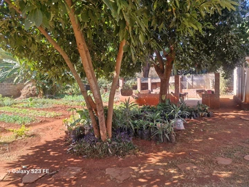 Stands & Residential Land