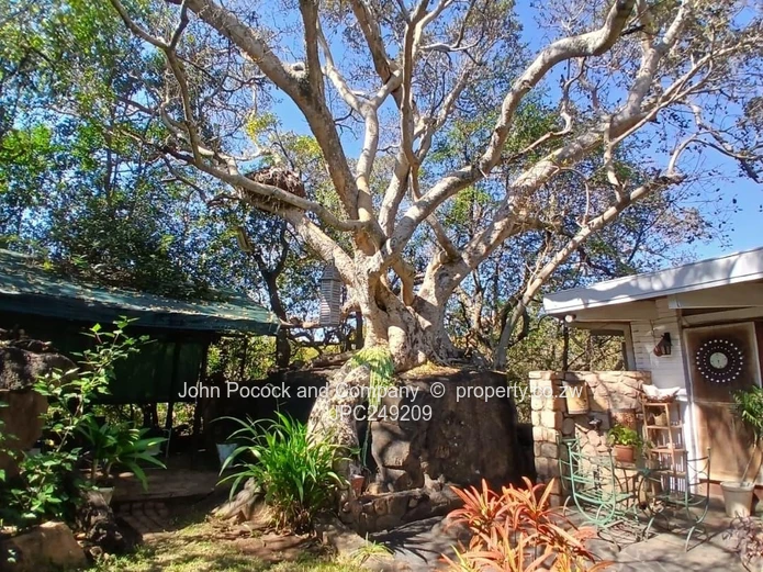 An Executive Sanctuary of Light, Space and Privacy (Sole Mandate)