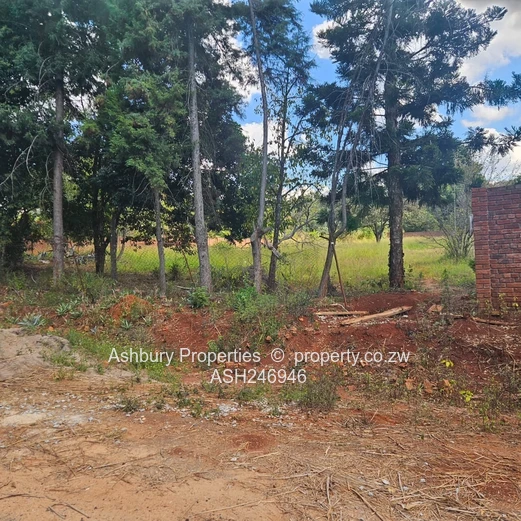 Prime Investment Opportunity in Mandara (Sole Mandate)