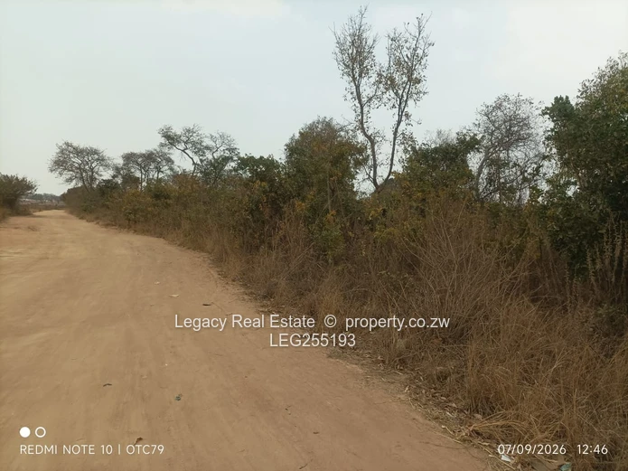 Ruwa 1ha Farm Plot with Gravel Road Access (Sole Mandate)