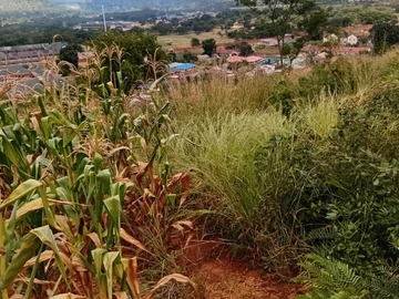 Commercial & Industrial Land