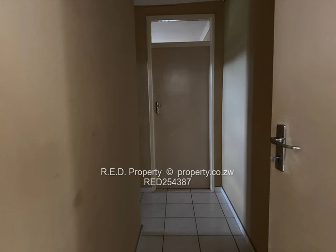 Multi-Dwelling Property  in Selbourne park