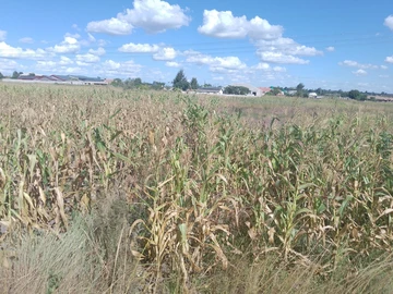 Commercial & Industrial Land