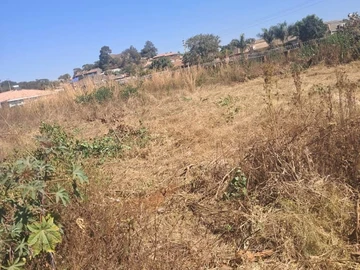 Stands & Residential Land