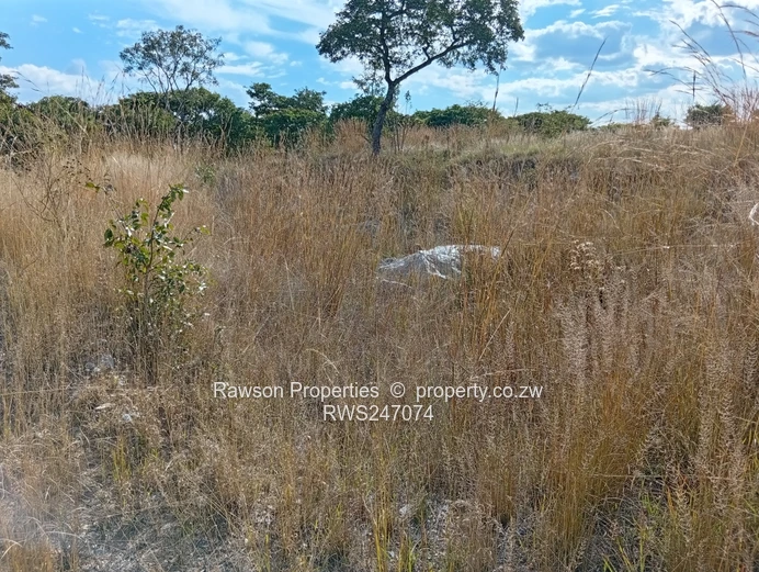 Agroplot for Sale in Ruwa