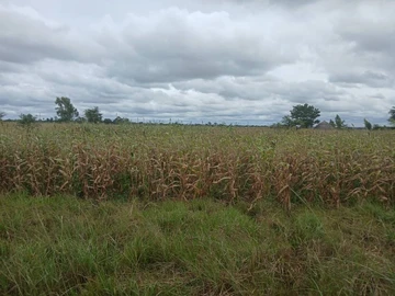 Farm & Agricultural Land