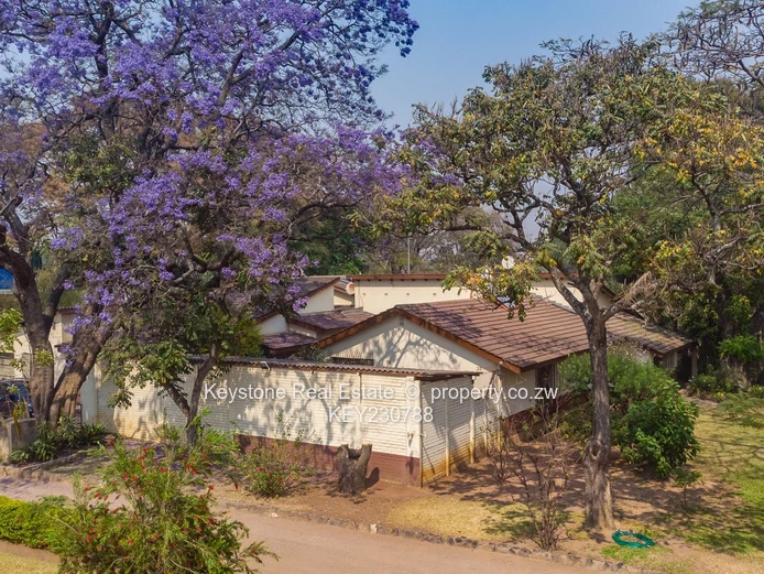 Exceptional Investment Opportunity: 3-Acres, 5 Houses Commercial Zoned 