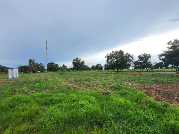 Stands & Residential Land