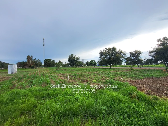 Ready To Build Stand In Waterfalls