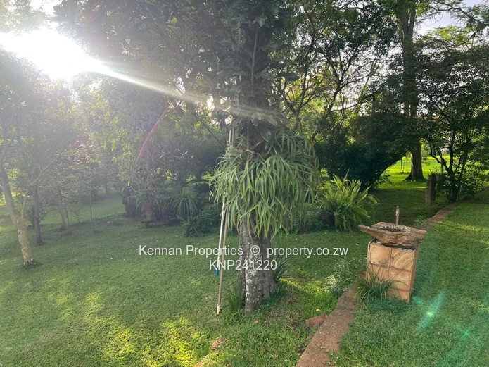 Spacious property on 7,5acres of land with beautiful msasa trees