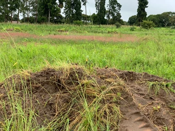 Residential Land for Sale: 250m² in Mabvuku, Harare High Density