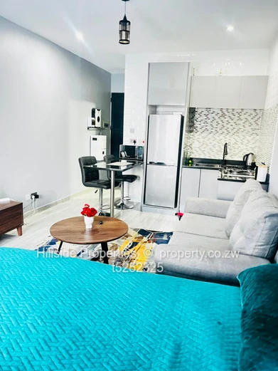 Millennium Heights Studio Apartment  (Sole Mandate)