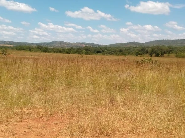 Farm & Agricultural Land