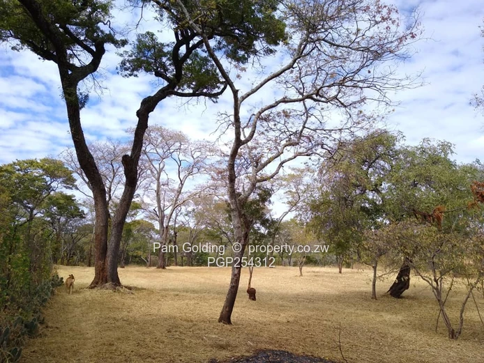 Rare 100 Acre Plot in the Path of Harare's Urban Expansion (Sole Mandate)