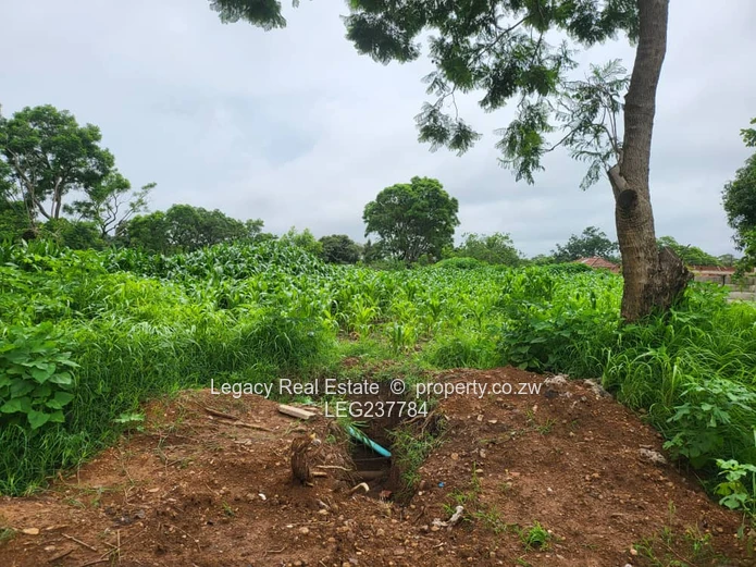 Mabelreign Stand Ideal for Cluster Development