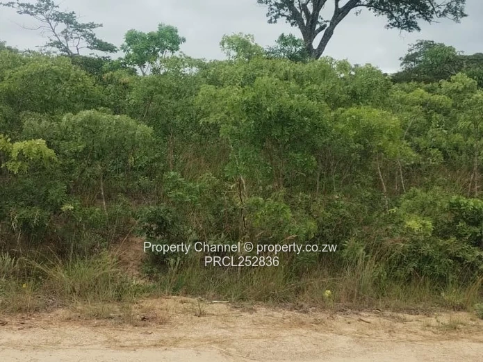 2159m² Corner Stand with Mature Trees in Rotsvlei Park, Marondera