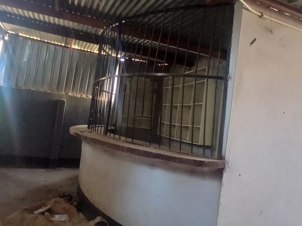 Shop & Retail Property