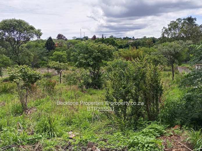 Four winds Bulawayo stand on sale 