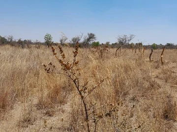 Farm & Agricultural Land