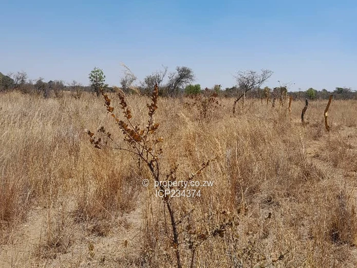 2.00Ha AGRO-PLOTS Available in Beatrice (Sole Mandate)