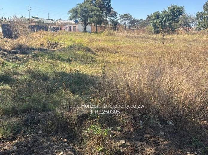 Investment Opportunity! Big Land