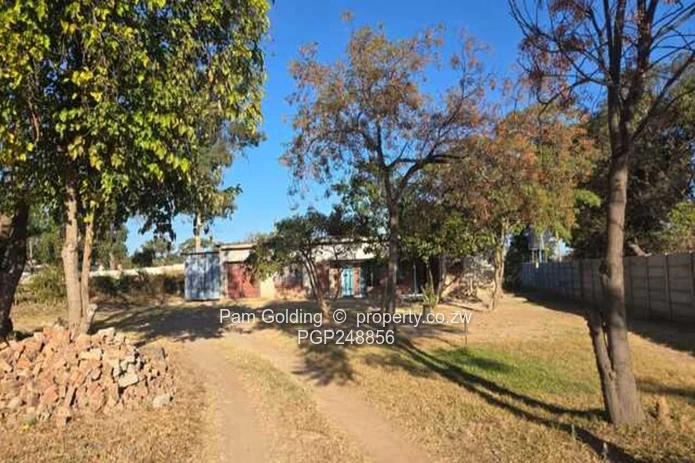 Treed 2800m² Prospect Stand — Subdivision Potential (Sole Mandate)