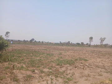 Farm & Agricultural Land