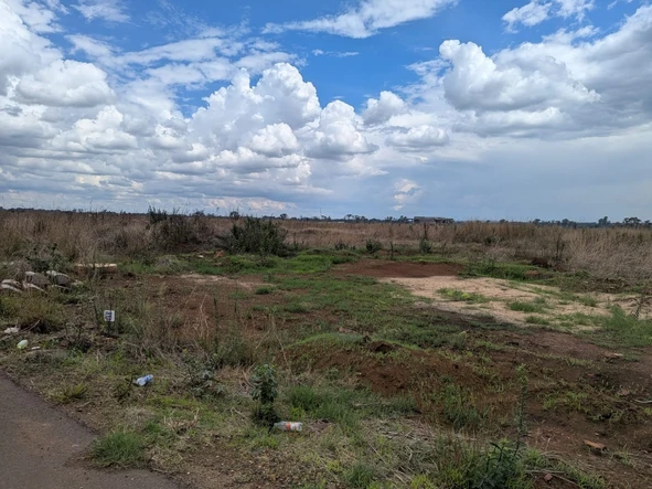 Stands & Residential Land