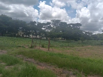 Stands For Sale In Shawasha
