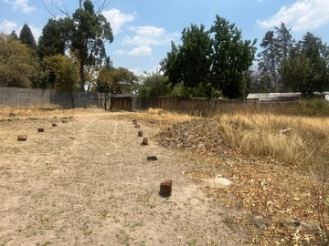 Farm & Agricultural Land