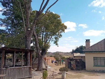 Farm & Agricultural Land