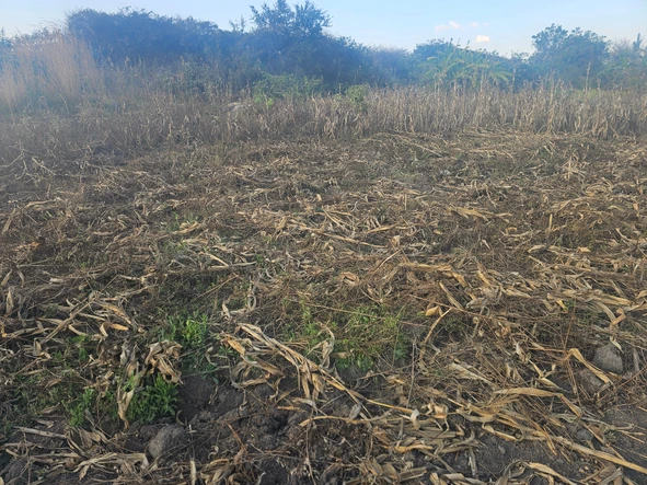 Commercial & Industrial Land