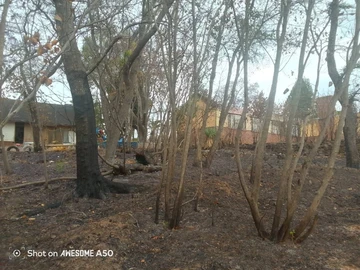 Stands & Residential Land