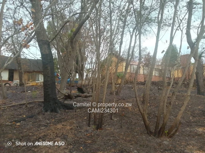 A good potential Investment