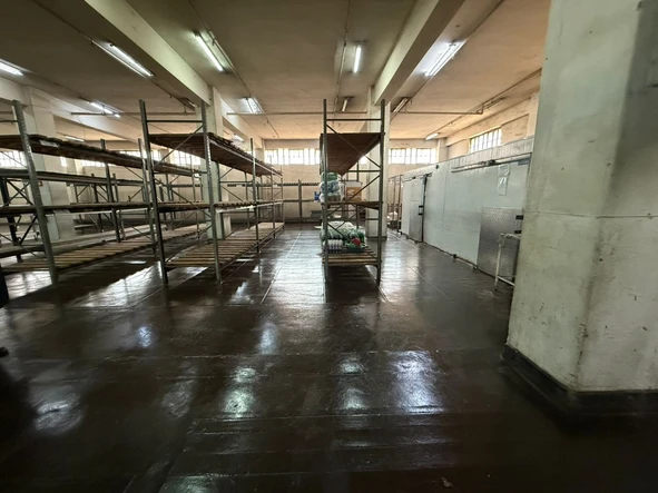 Shop & Retail Property