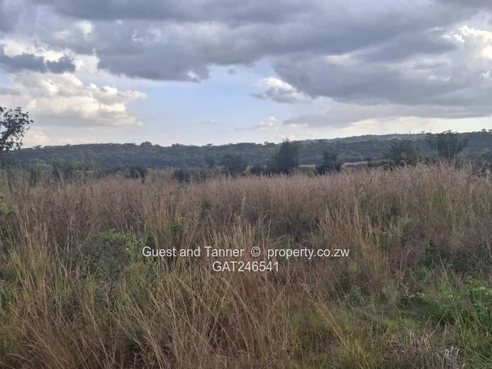 Prime Residential Stand for Sale – Crowhill