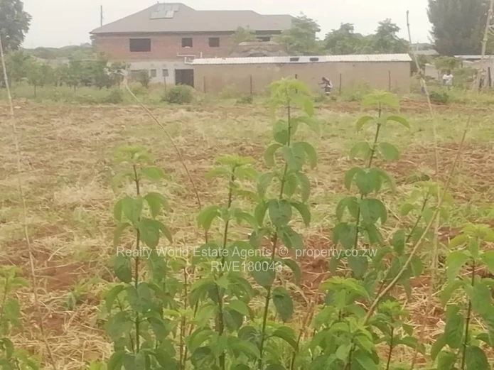 Rydale Ridge Stand For Sale 