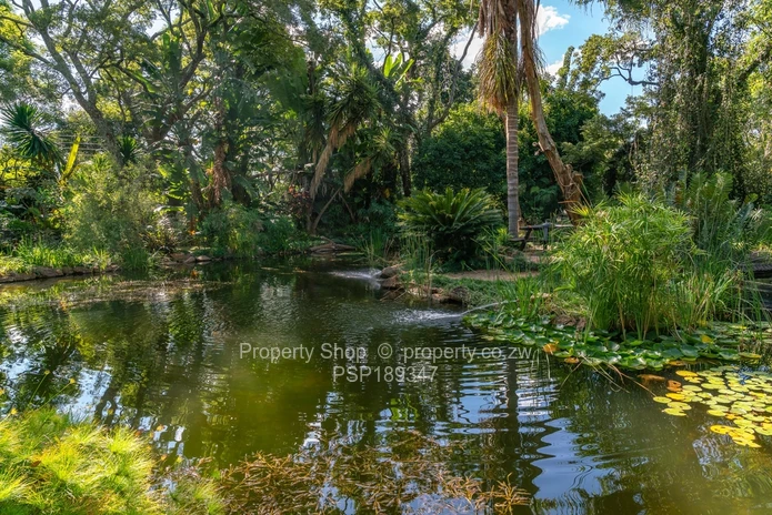 Hidden Gem in Chisipite